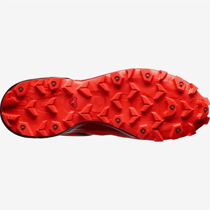 Salomon sale spikecross 5